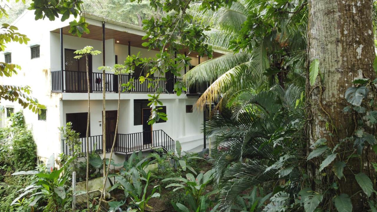 Riverside - Walk To The In Santa Teresa! Newly Renovated! Apartment Playa Santa Teresa (Puntarenas)