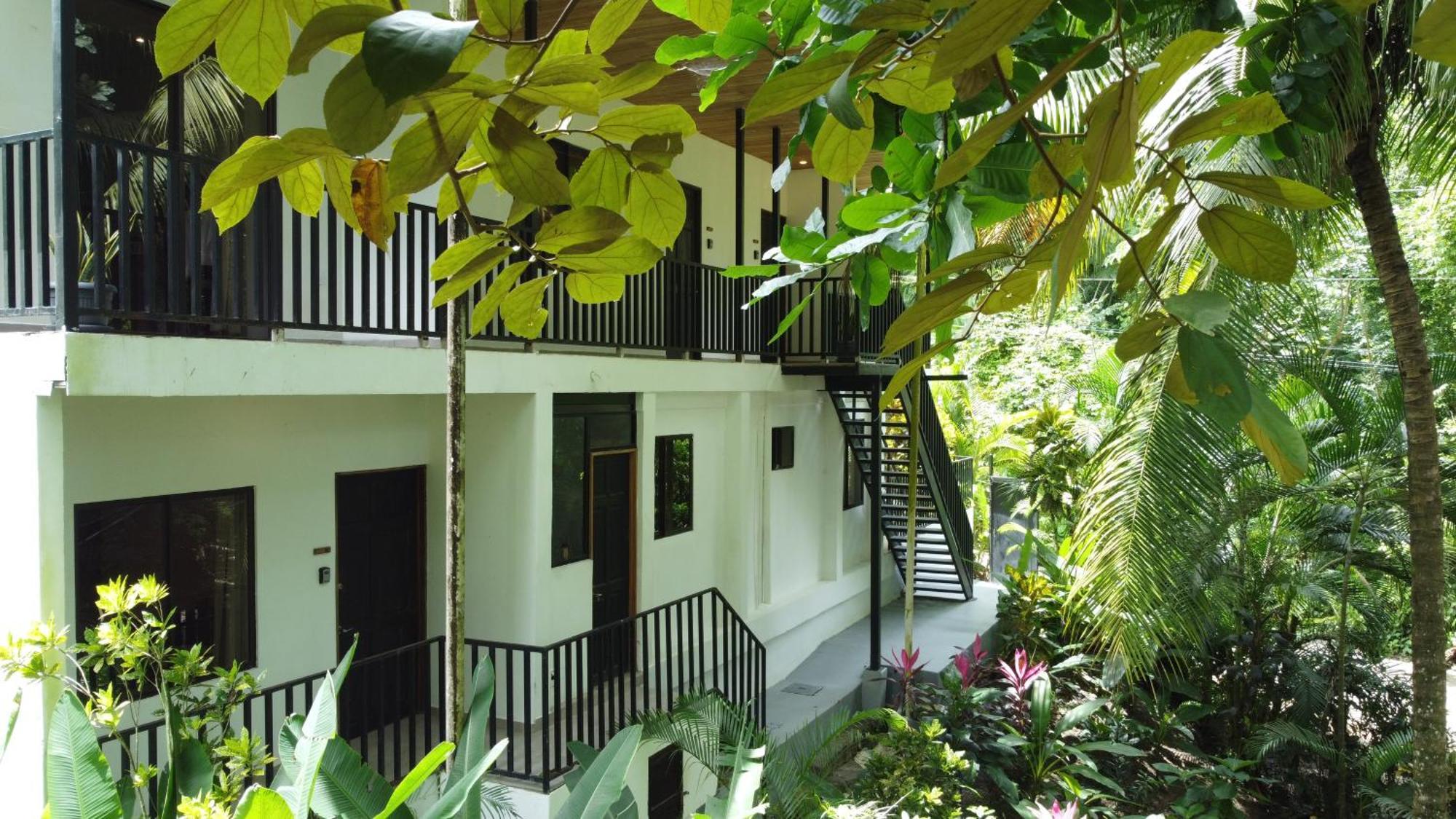 Apartment Riverside - Walk To The In Santa Teresa! Newly Renovated! *